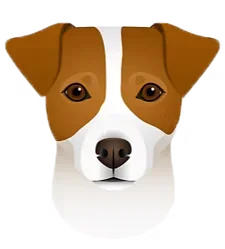 Jack Russell