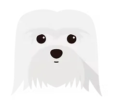 Cãozinho filhote